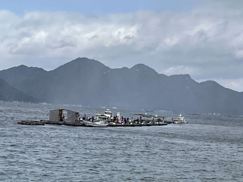 阿多田島の釣り堀