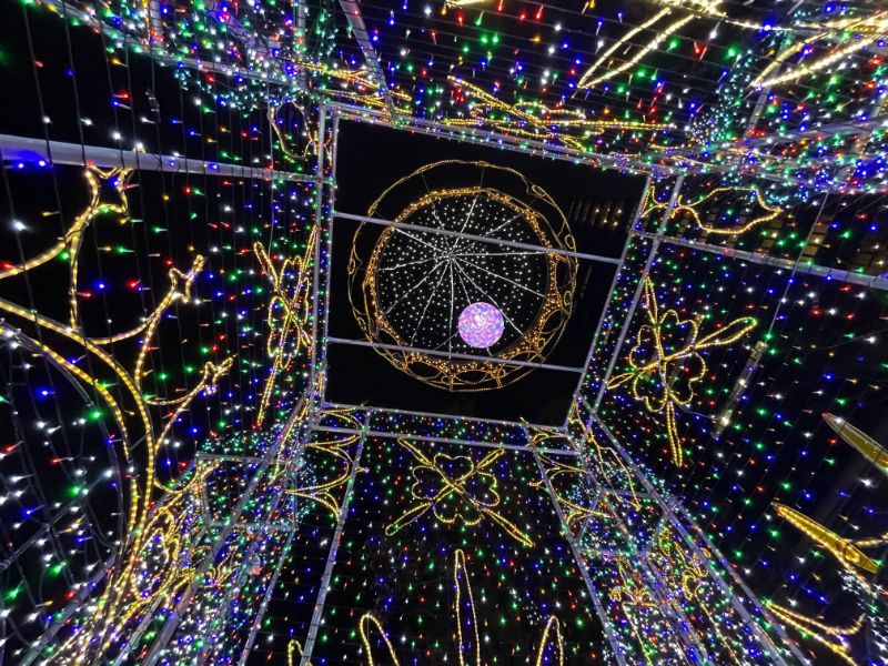 2021ドリミネーション