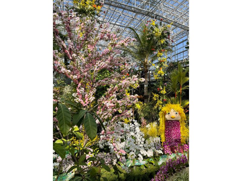 広島市植物園ラン展