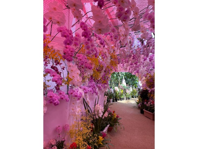 広島市植物園ラン展